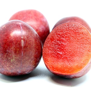 ポケマル スモモの通販 全国の農家から産地直送で取り寄せできるポケットマルシェ 3ページ目