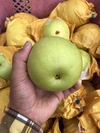 食べ比べセット梨【ご家庭用】豊水・秋麗・20世紀 3キロ（7玉から13玉入り）