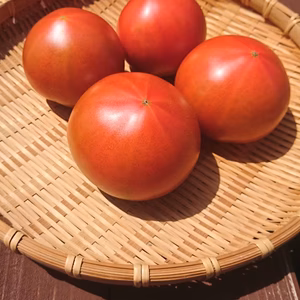 【野菜ソムリエサミット金賞】ウエタトマトのドライトマト&トマトの食べ比べセット