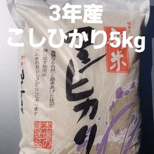 令和3年産こしひかり5キロ