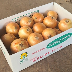 【Mサイズ】淡路島産たまねぎ 特別栽培 兵庫県認証食品