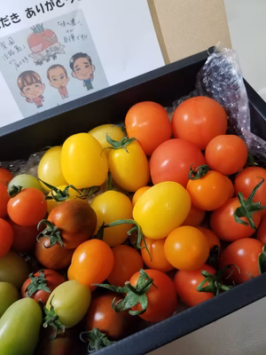 みんなの投稿の画像