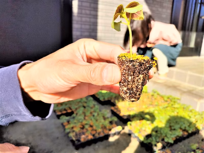 みんなの投稿の画像