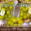 【7周年福袋】山梨県産シャインマスカット800g+おまけ【訳あり】