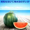 甘～いおいし～い尾花沢すいか 大玉 4L サイズ(羅王ザ・スウィート)山形県産 