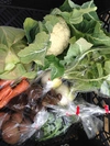旬の野菜セット 定期便月2回 Wサイズ　農薬・化学肥料・厩肥不使用