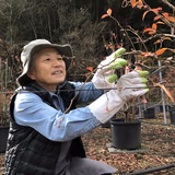 前田由美子 | 株式会社金沢ちはらファーム