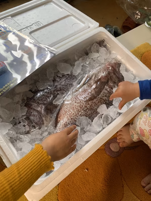 みんなの投稿の画像