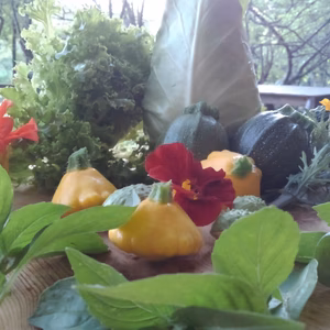 特選！七草農園旬の野菜（スモールサイズ）