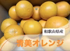 今が旬！！【ご家庭用】果汁たっぷり清美オレンジ【和歌山県産有田市】