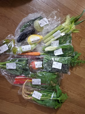 みんなの投稿の画像