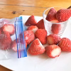 【限定価格】冷凍イチゴ★紅ほっぺ★500g×3袋～★土耕栽培で香りと味がしっかり