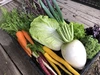 【限定5箱‼️栗入り❣️】自然栽培、旬の健康べっぴん野菜セット