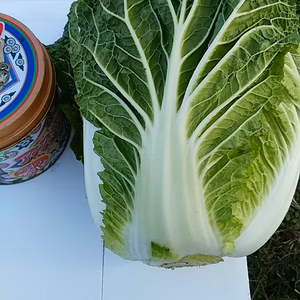 白菜、キャベツ,ブロッコリーのセット