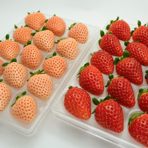 【紅白イチゴ】佐賀県産 淡雪・さがほのか [各220g] セット【冷蔵】