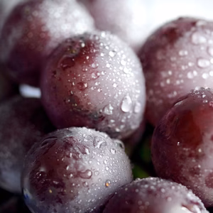 きみのブドウ（食べ比べパック）