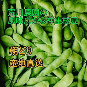 風味広がる 神座えだまめ