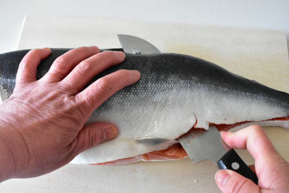 出刃包丁は不要 普通の包丁とハサミでお魚捌きに入門しない 農家漁師から産地直送の通販 ポケットマルシェ