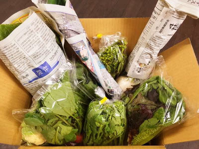 みんなの投稿の画像