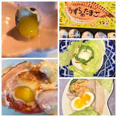 みんなの投稿の画像