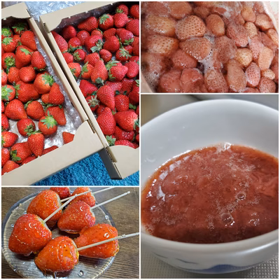 みんなの投稿の画像