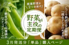 【単月販売】厳選野菜を2つお届け「野菜が主役の定期便」3月発送分
