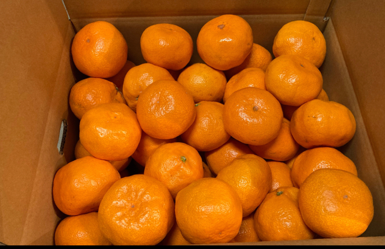 愛情たっぷりで育った有田みかん★温州みかん秀品LLサイズ 約10kg [最終値下げ]温州みかん LLサイズ 秀品 約10kg