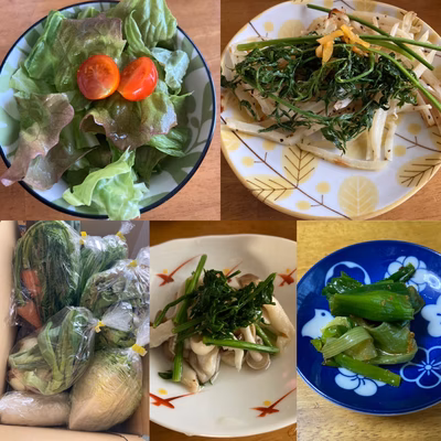 みんなの投稿の画像