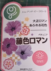 綺麗な花色[栄養系ペチュニア]藤色ロマン大鉢３鉢セットより