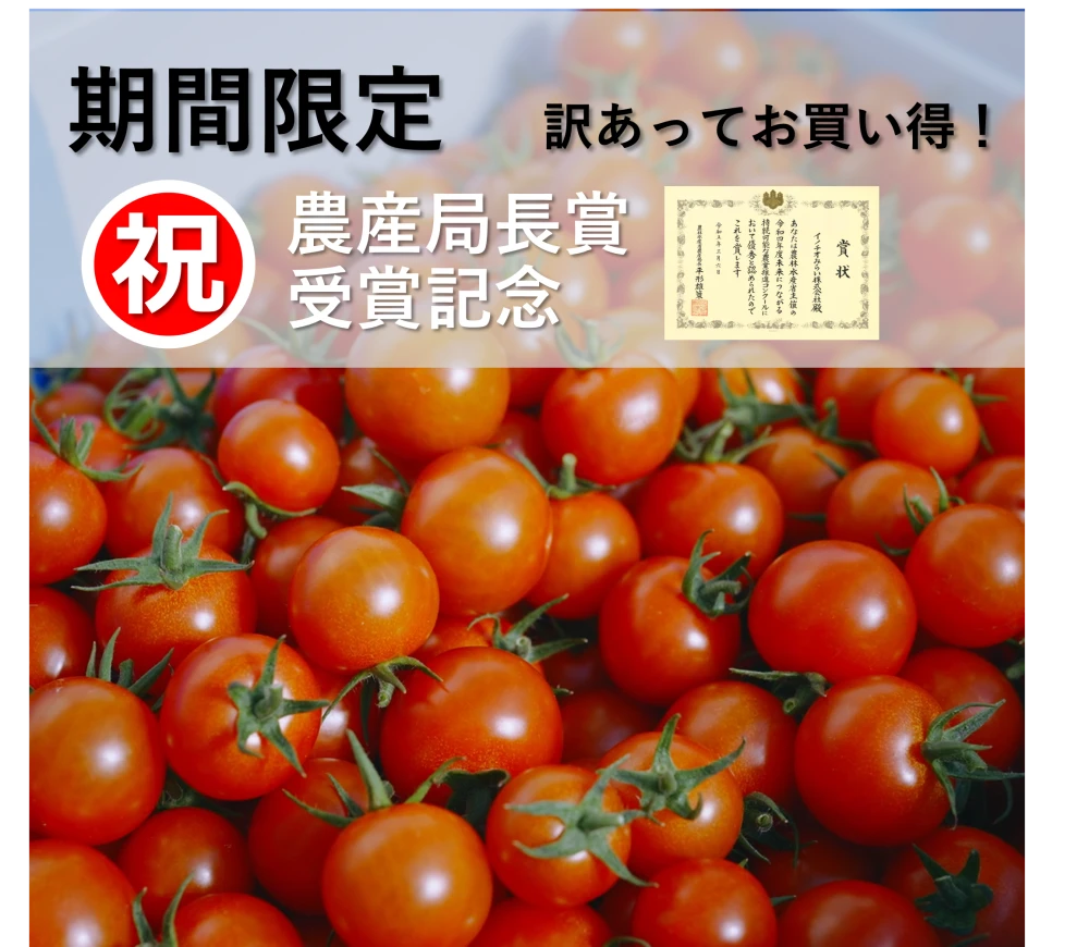 ★受賞記念★　期間限定特別価格◆訳あってお買い得◆採ったまんまの「ミニトマト」