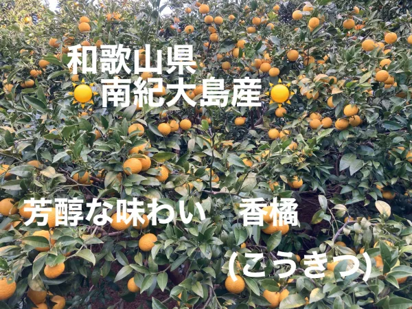 香橘(こうきつ) 芳醇な味わい