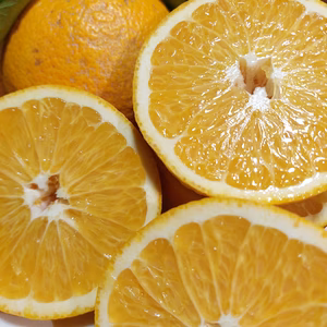 八朔【超訳あり】4.5kg（箱込）