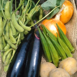 農薬化学肥料不使用　四季のとれたて野菜セット（S)