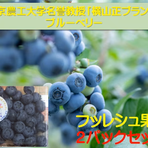 東京農工大学名誉教授「横山正ブランド」ブルーベリー新鮮果実：北方系2パック