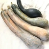 昔ながらのかぼちゃを食べよう！鶴首かぼちゃ【農薬不使用】