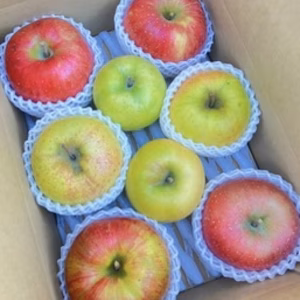 【福袋2026】岩手オリジナル２品種入り！冬のりんご食べ比べセット