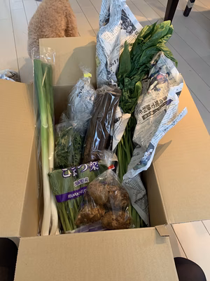 みんなの投稿の画像