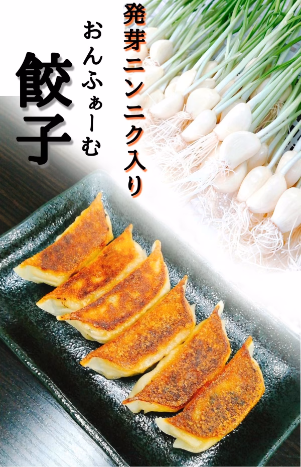 ☆おんふぁーむ冷凍餃子☆   【栄養たっぷり!!発芽ニンニク使用】