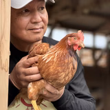野瀨一弘 | 五島列島　大石養鶏場
