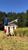 【定期】米作り３０年の名人絶賛！もっちり甘い「きらほ」白米