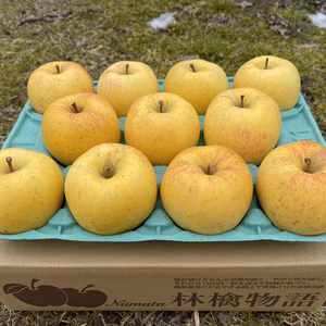 とっても甘いりんご「はるか」3ｋｇ（１1玉）