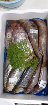 みんなの投稿の画像