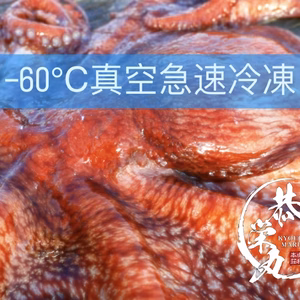 秋田県産　‼️ミズダコBOX‼️ 水蛸　頭［急速冷凍］生冷凍　