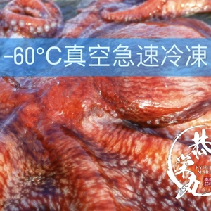 秋田県産　‼️ミズダコBOX‼️ 水蛸　頭［急速冷凍］生冷凍　