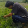 鎌田雅和