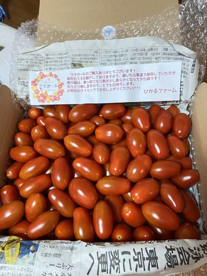 みんなの投稿の画像