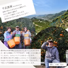 農家直送！【極早生みかん】訳あり≪サイズ混合≫【平武農園】