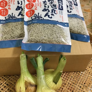 お試し栄進丸のちりめんと石積み段々畑のサラダで食べたい新玉ねぎ