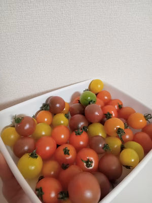 みんなの投稿の画像