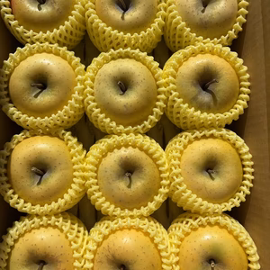 シャキシャキ！サクサク！小玉 食べきりサイズ♪シナノゴールド 約3kg～